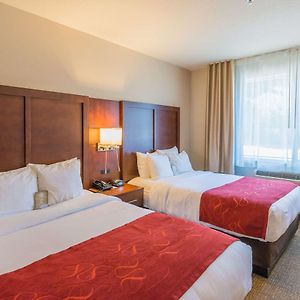 Queen Suite