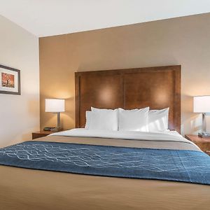 King Room Mobility accessible
