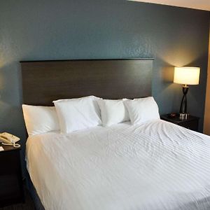 Deluxe One-Bedroom King Suite