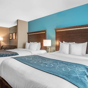 Queen Suite