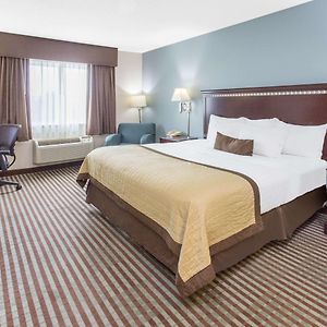 King Room Disability Access