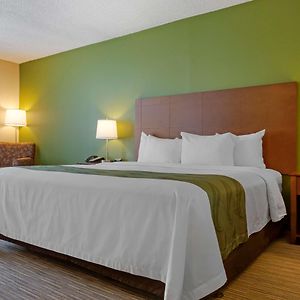 Ground Floor King Room