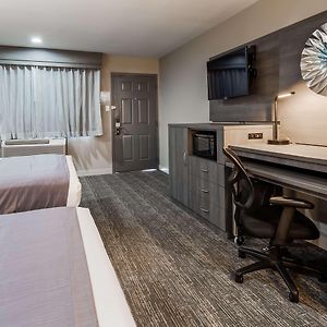 Queen Room Two Queen Beds