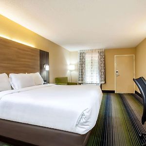 King Room Disability Access