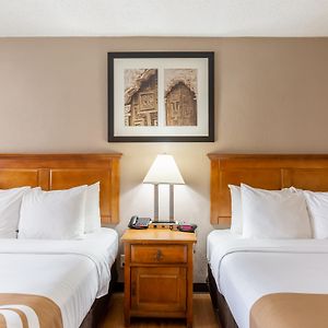 Premium Queen Room