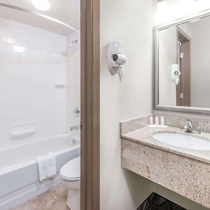 Queen Suite