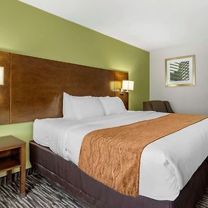 King Room Mobility accessible