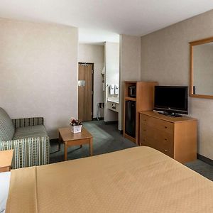 One Room King Suite