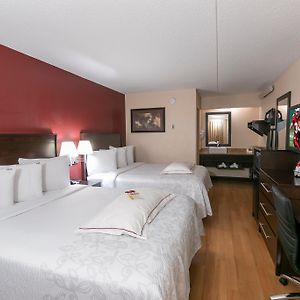 Upgraded Room