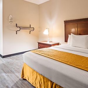 King Room Mobility accessible