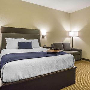 Queen Suite