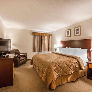 One-Bedroom King Suite