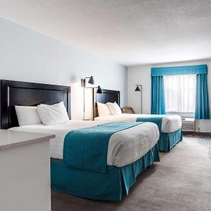 Queen Room Dog friendly