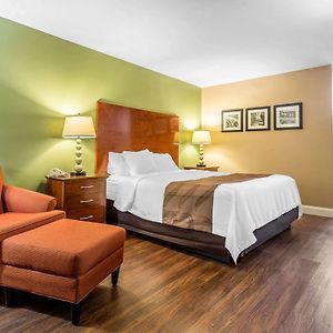 King Room Disability Access