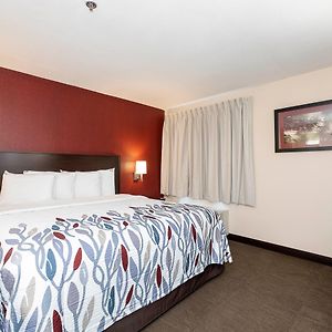 Standard King Room Disability Access