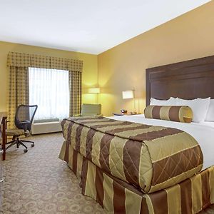 King Room Disability Access