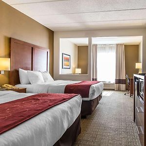 Queen Suite
