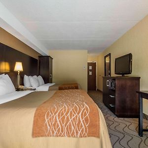 Queen Room
