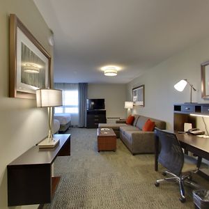 Studio Suite