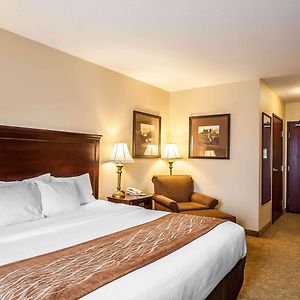 King Room Mobility accessible