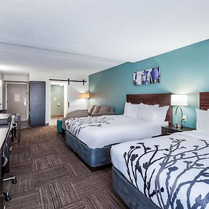 Queen Room Mobility accessible