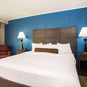 One-Bedroom King Suite