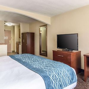 Efficiency King Suite