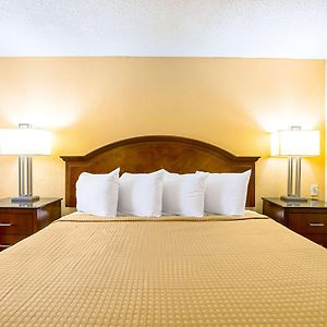 King Room Mobility accessible