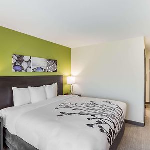 King Room Mobility accessible