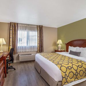 Deluxe One-Bedroom King Suite