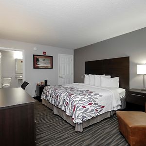 Superior  King Room Disability Access