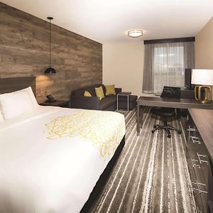 Deluxe  King Room Mobility accessible
