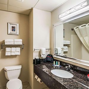 Double Room Mobility accessible