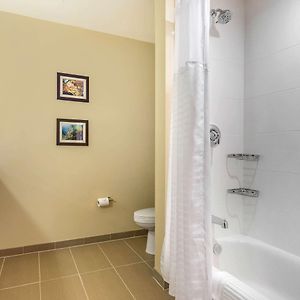 King Suite Mobility accessible