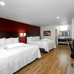 Premium Queen Room