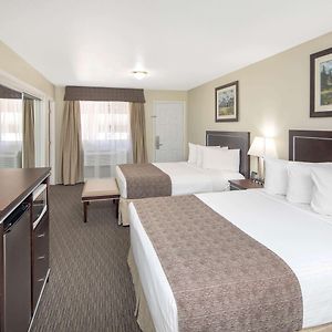 Ground Floor King Suite