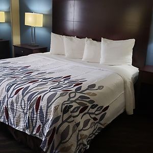 Superior  King Room Disability Access