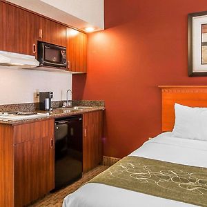 Executive Queen Suite