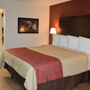 Standard Twin Room Disability Access