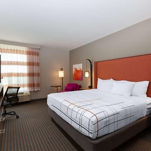 Deluxe  King Room Mobility accessible