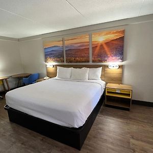 King Room Disability Access