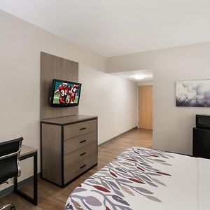 Deluxe  Queen Room Disability Access