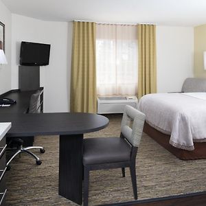 Studio Suite