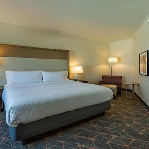One-Bedroom King Suite