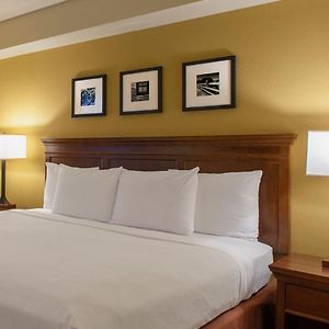 Deluxe One-Bedroom King Suite