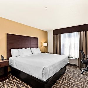 King Room Disability Access