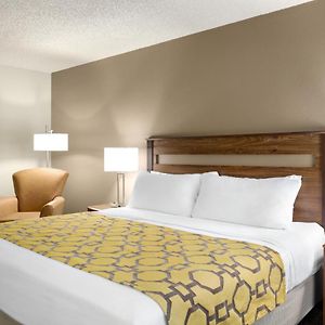 One-Bedroom King Suite