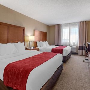 Queen Suite