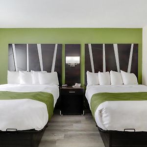 Queen Suite
