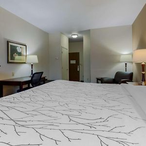 King Room Mobility accessible